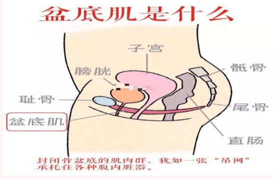 微信截圖_20211116164321.png