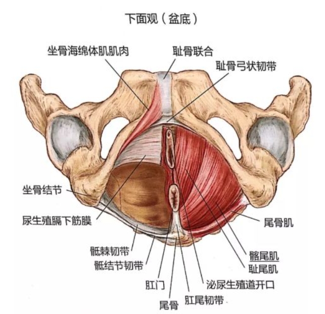 微信截圖_20231225153611.png